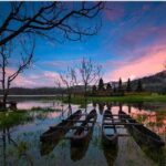 Danau Buyan dan Danau Tamblingan: Pesona Danau Kembar di Buleleng