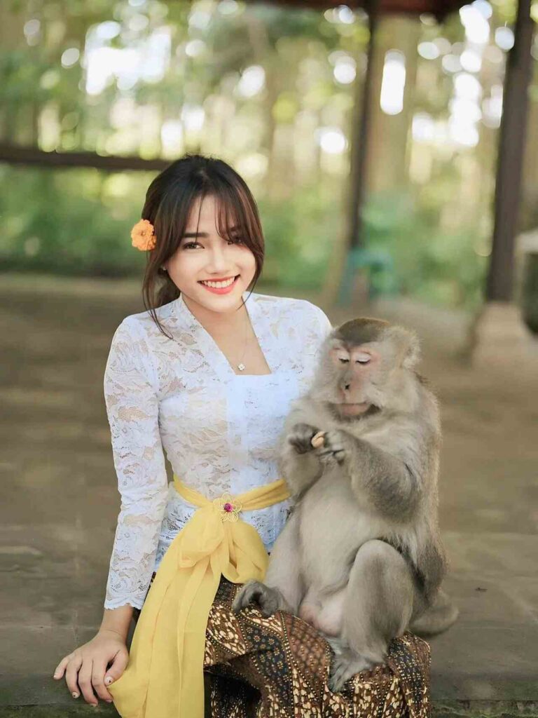 Balitripgo Obyek Wisata Sangeh Monkey Forest Abian Semal Badung Bali