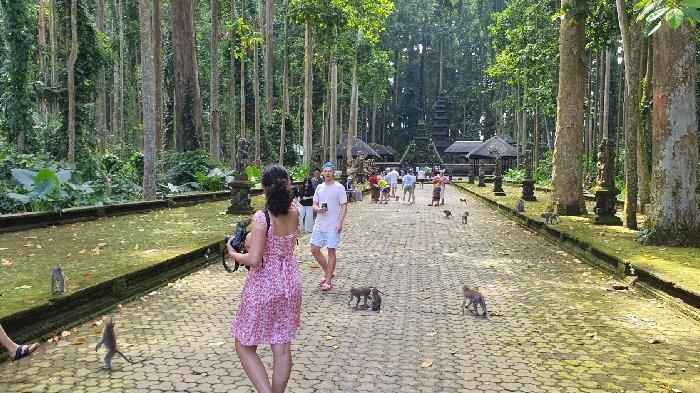 Balitripgo Obyek Wisata Sangeh Monkey Forest Abian Semal Badung Bali