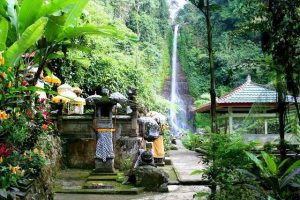 Air Terjun Gitgit: Keindahan Alami di Tengah Hutan Tropis